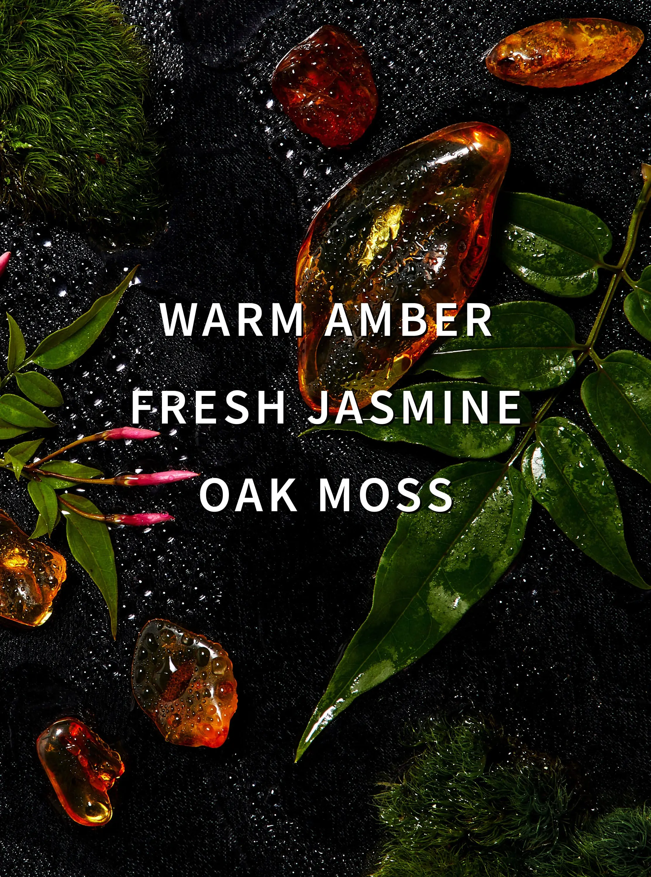 Amber Blush Laundry Detergent - Image 2