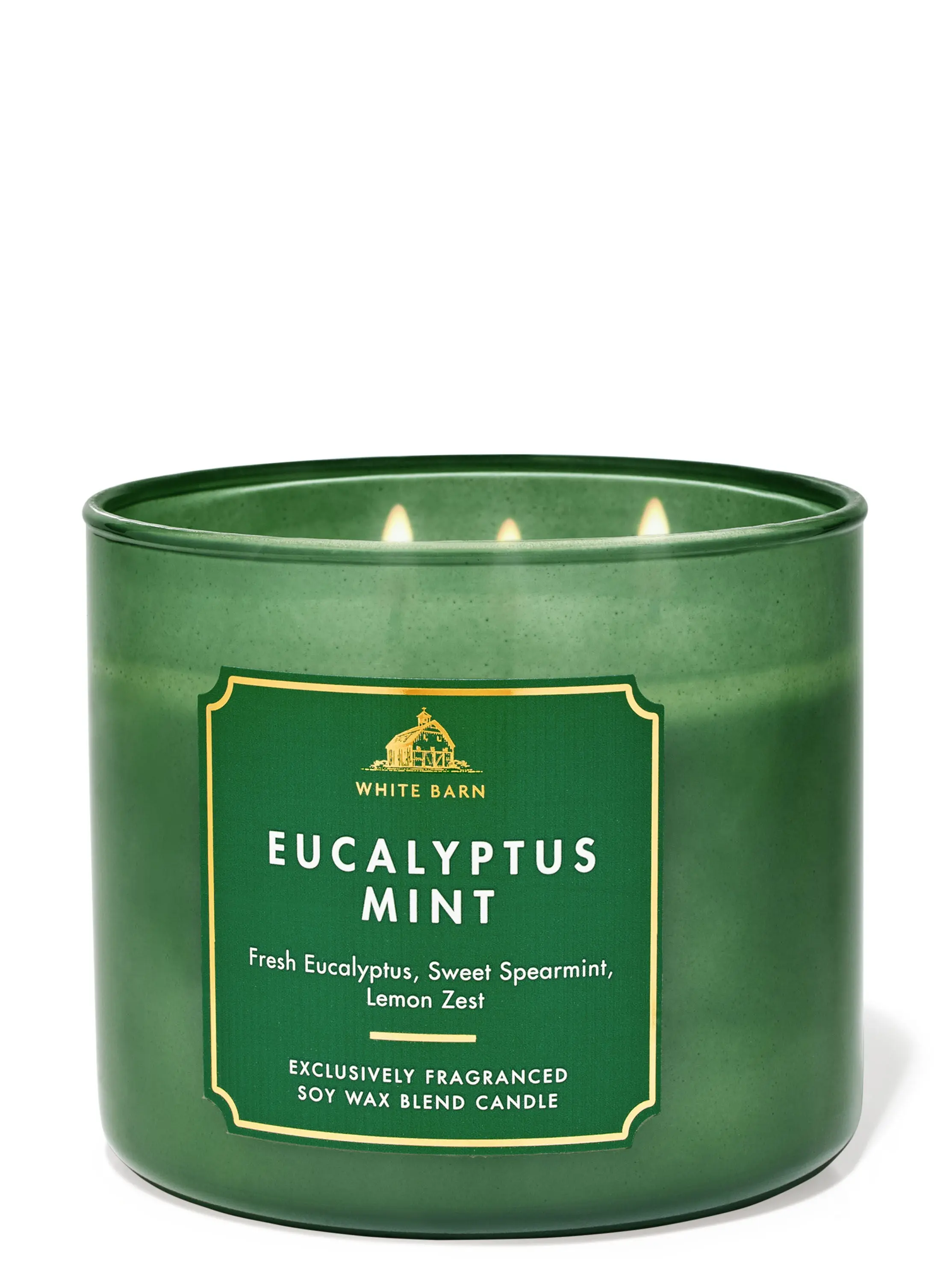 Eucalyptus Mint 3-Wick Candle - Image 2